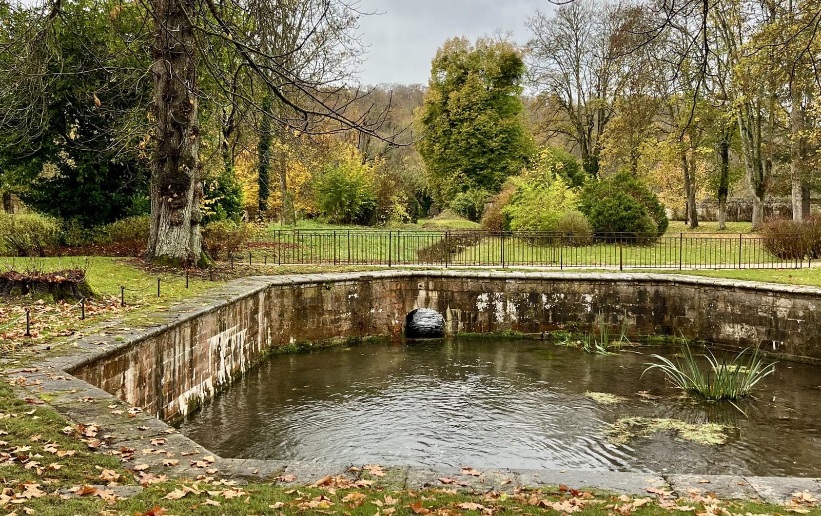 le ruisseau Le Bec qui coure dans le parc de l'Abbaye