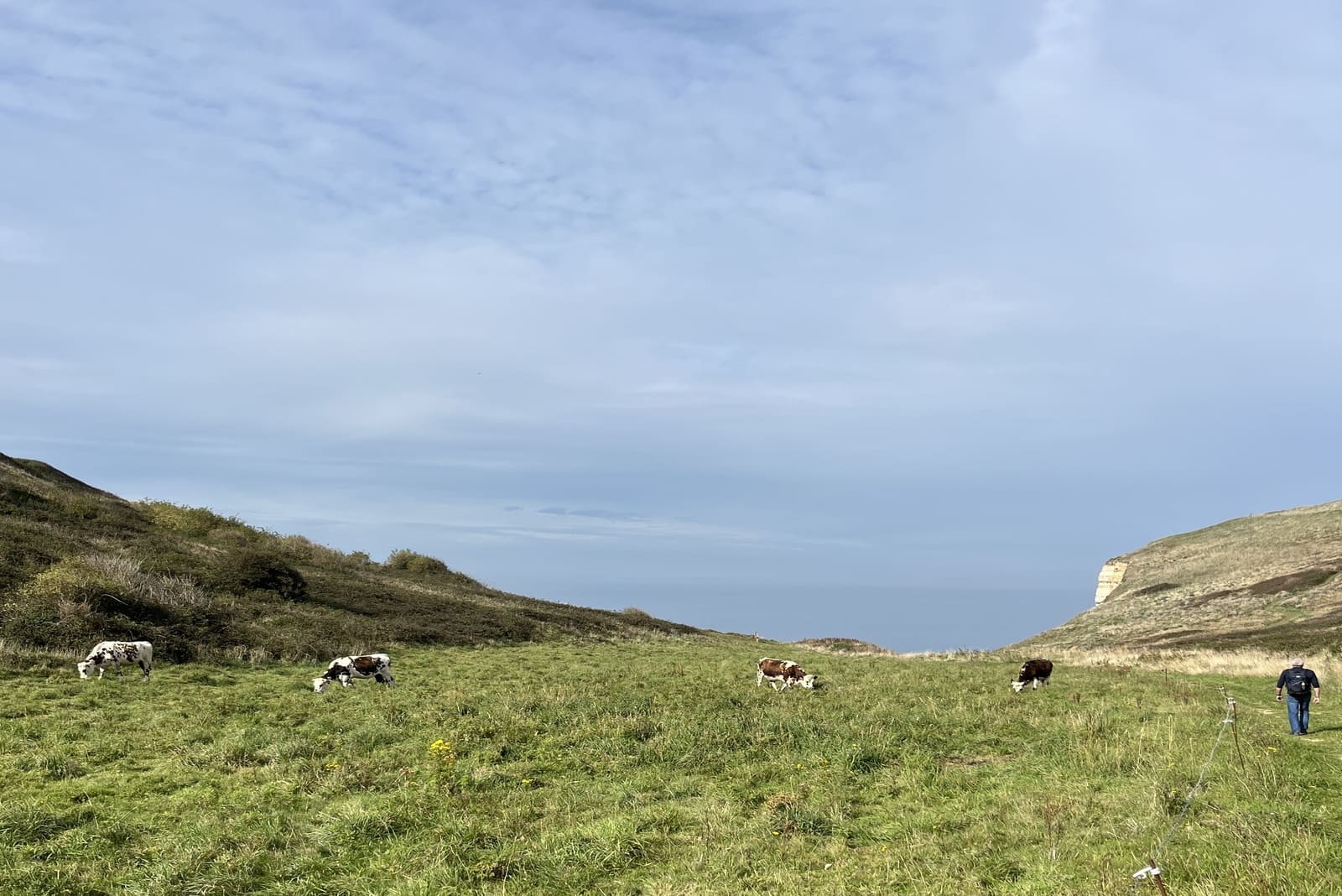 sentier du GR21 menant au phare d'Antifer à travers les prairies