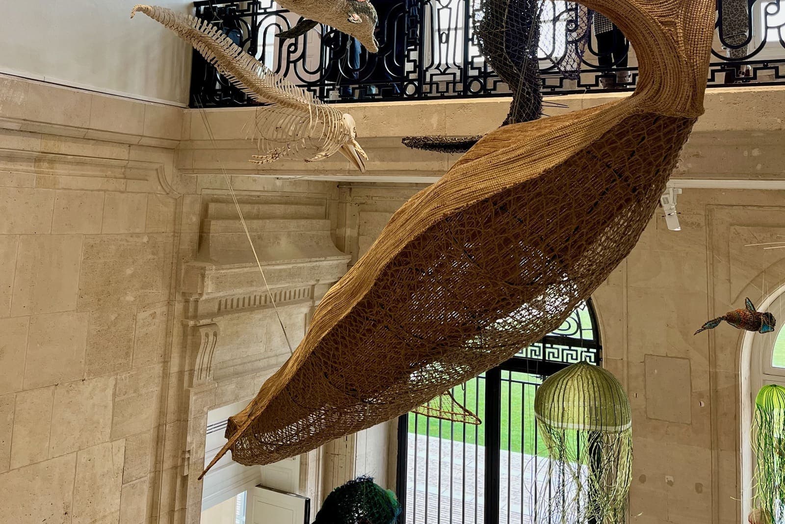 Le grand escalier historique du Muséum du Havre décoré d'espèces marines suspendues."