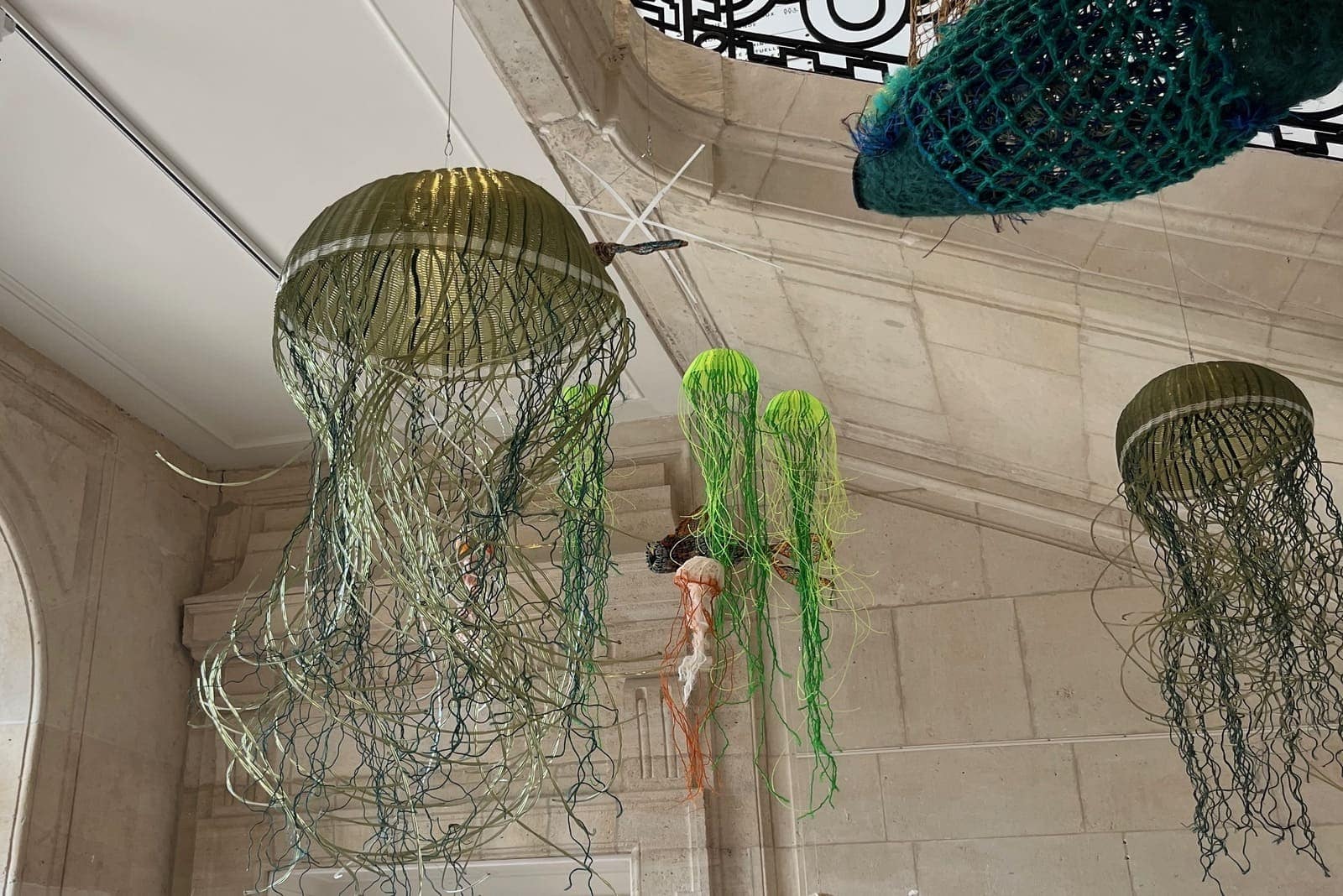 Le grand escalier historique du Muséum du Havre décoré de méduses suspendues."